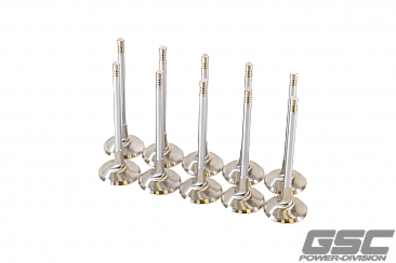 GSC Power Division Audi DAZA Intake Valve Set - 33.9mm Head Diameter, 104mm Length, Chrome Polished Finish