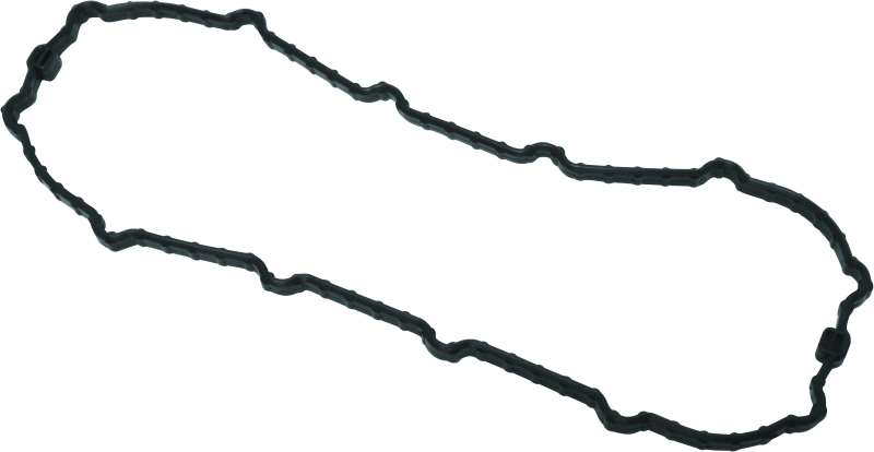 Twin Power 04-13 Dyna Models Fuel Pump Plate Seal – Replacement for Harley Davidson FXDLI, FXDWGI, FXDBI, FXDCI, and More
